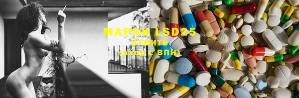 ECSTASY Богданович