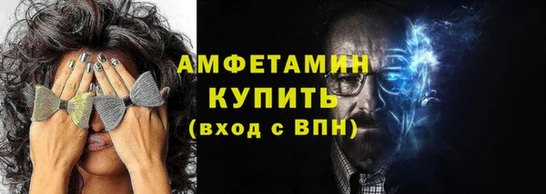 гидра Бородино