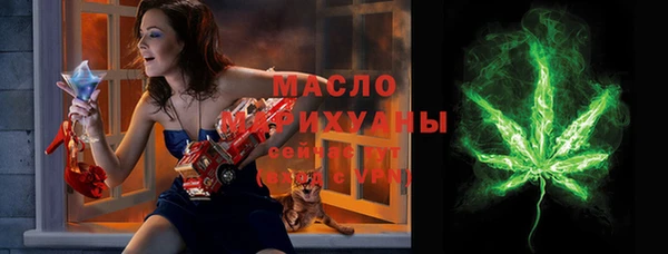 ECSTASY Богданович