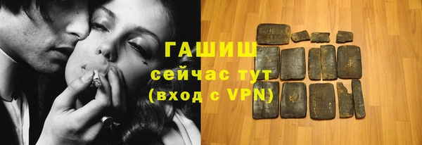 ECSTASY Богданович