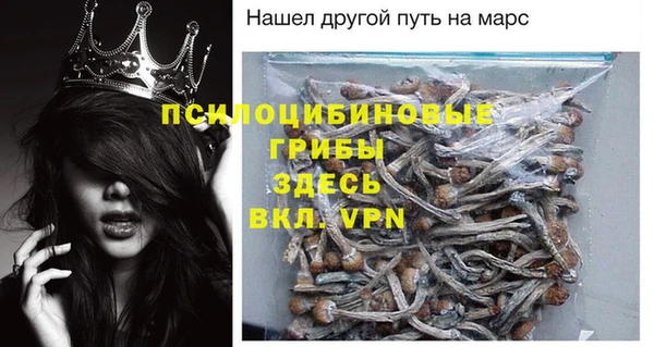 spice Богородск
