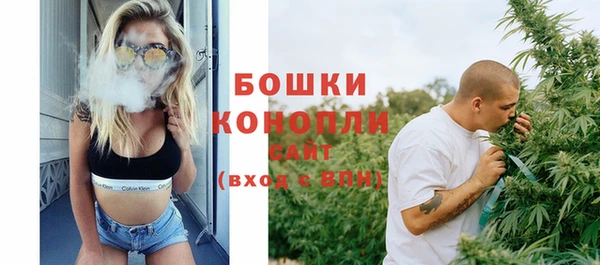 сатива Тавда